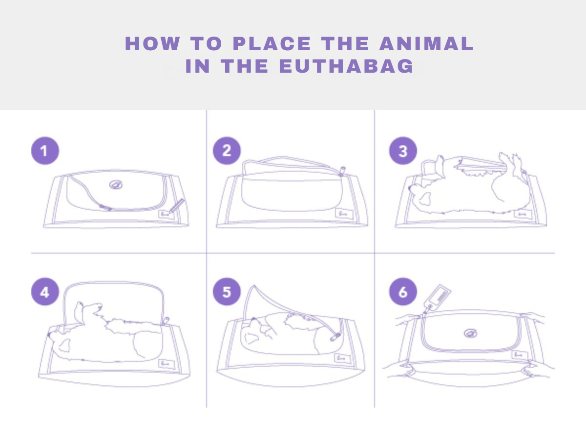 Six-step illustrated guide showing how to place a pet in an EUTHABAG body bag, from opening and labelling the bag to positioning the animal and closing it