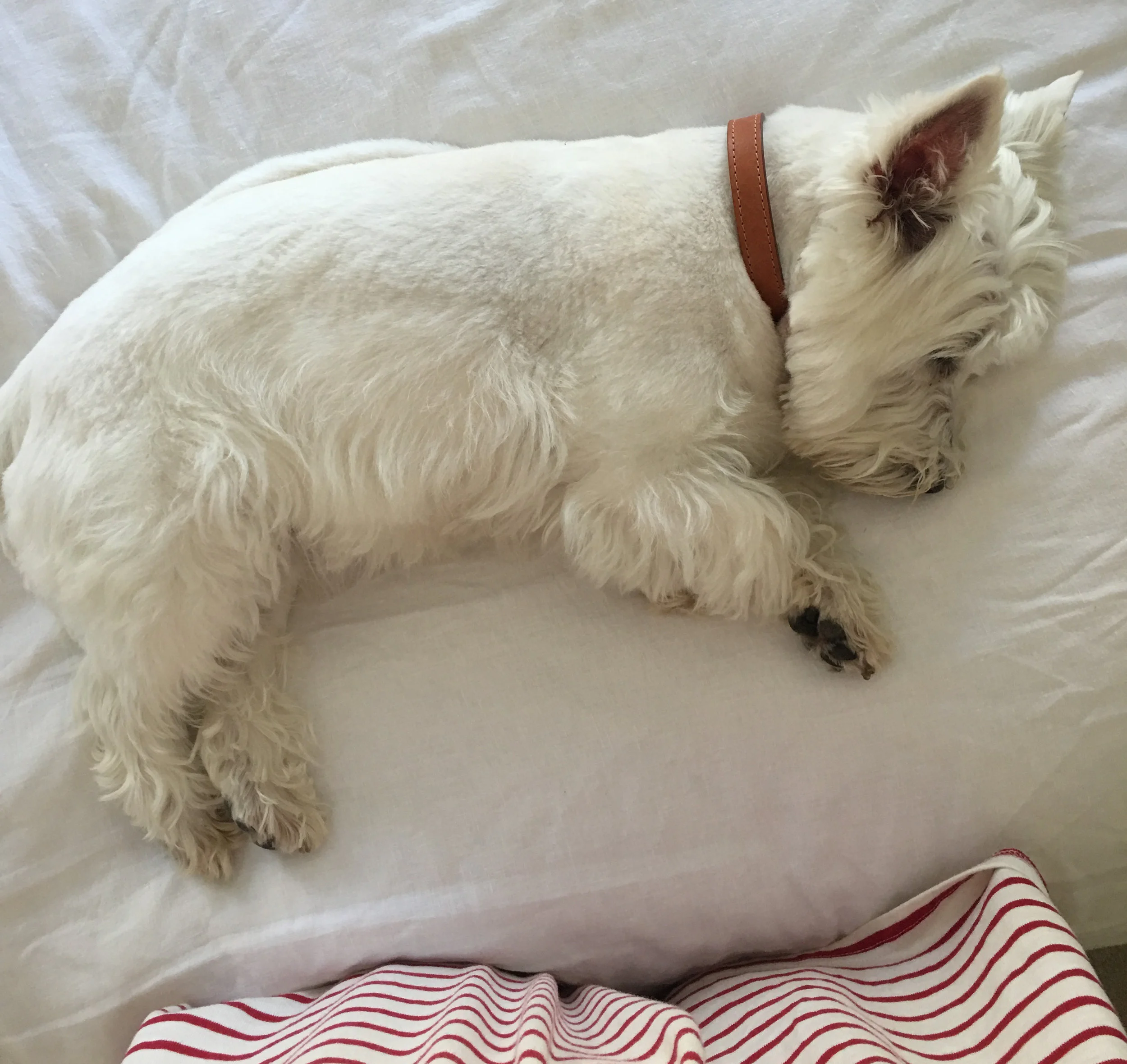 Lizzie embraces the hygge lifestyle - like many of us she is a lover of freshly washed linen sheets.... 