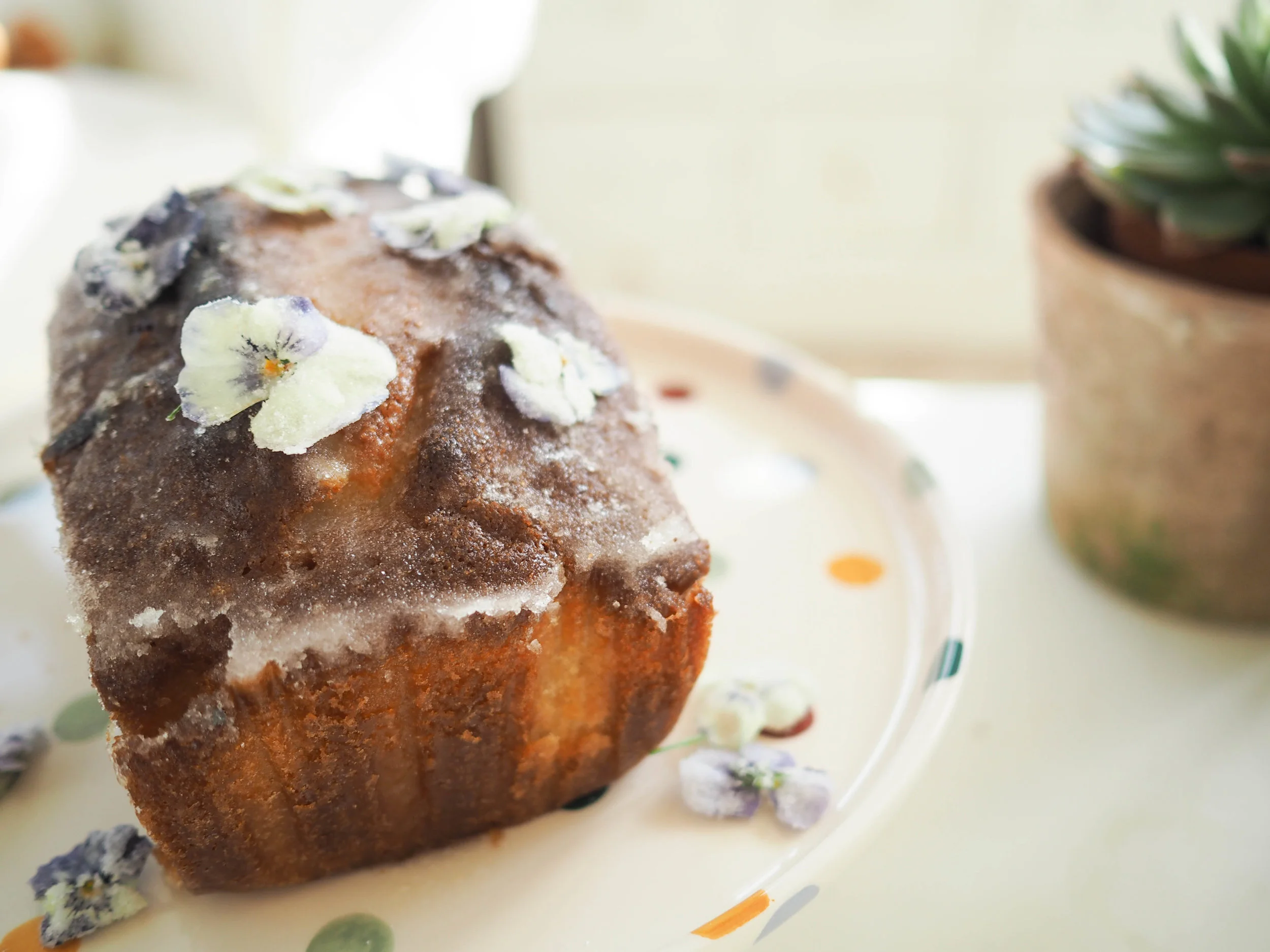 Sourdough Butterfly Pea Flower Wool Roll Bread - BAKE WITH PAWS