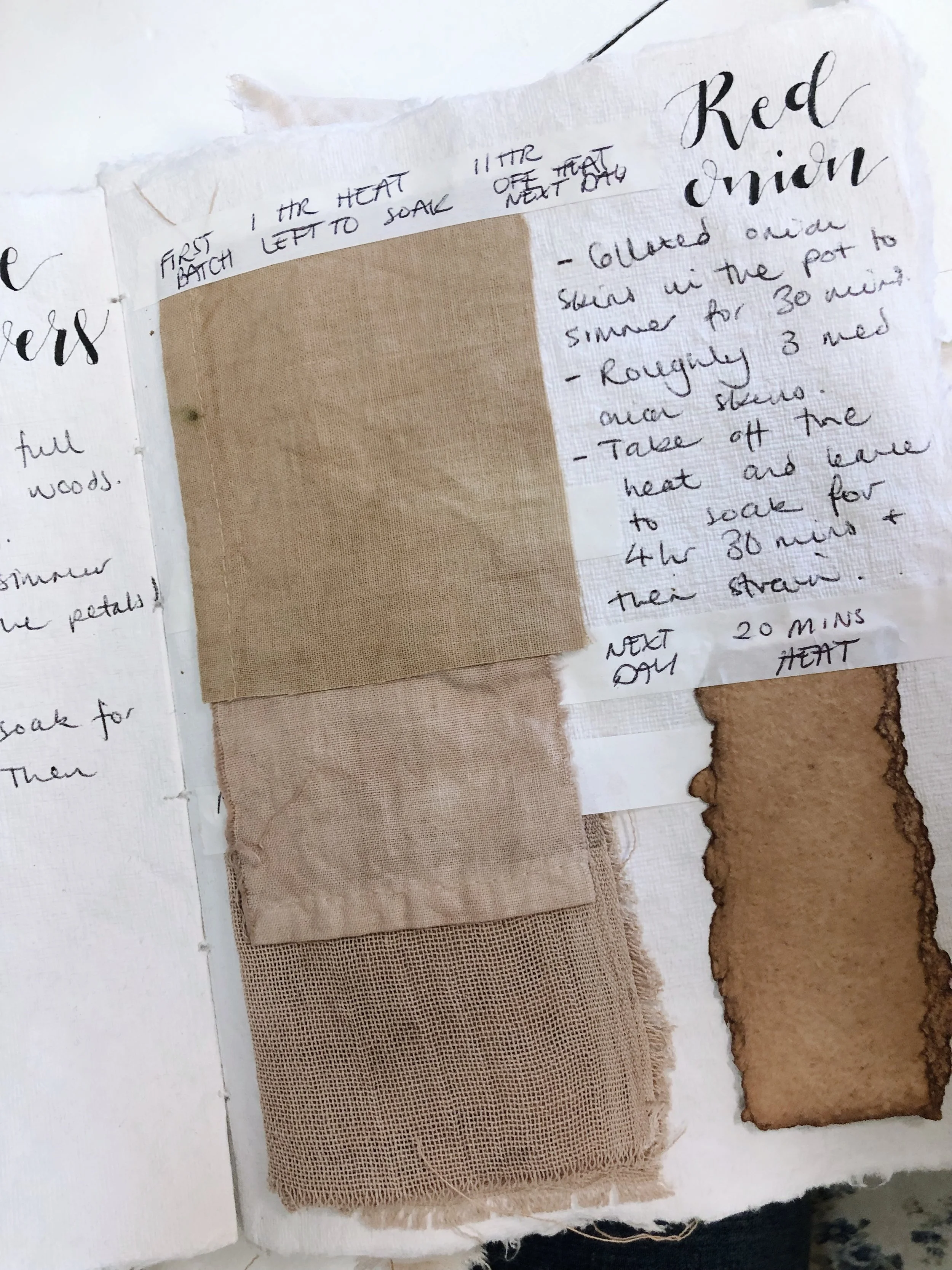 A snippet of EdieRoseAshley’s beautiful botanical dye journal