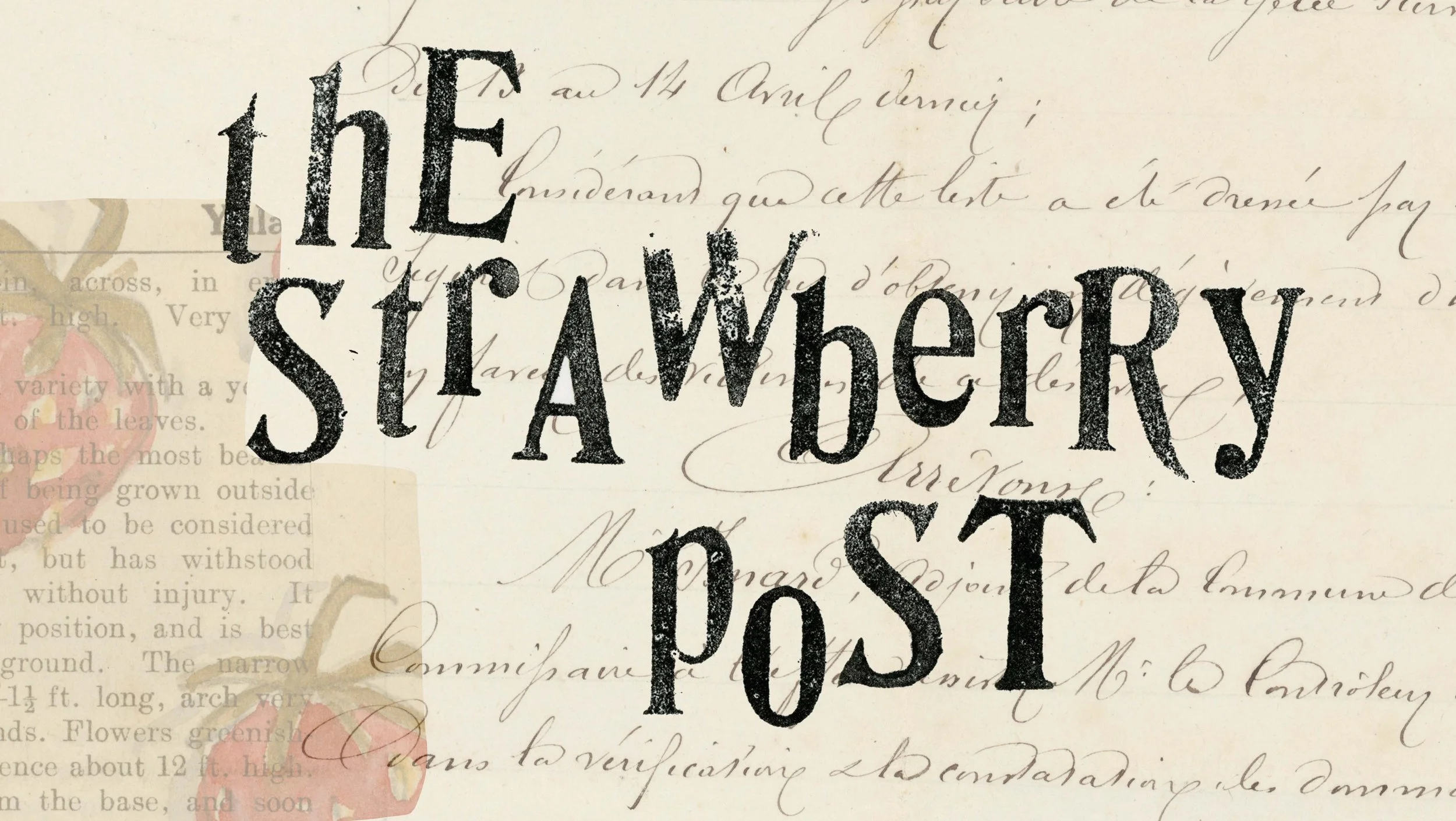 strawberrypostmainpic.jpg