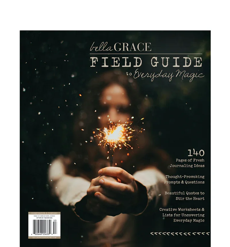 1FIE-2502_Field-Guide-to-Everyday-Magic-Issue-16.webp
