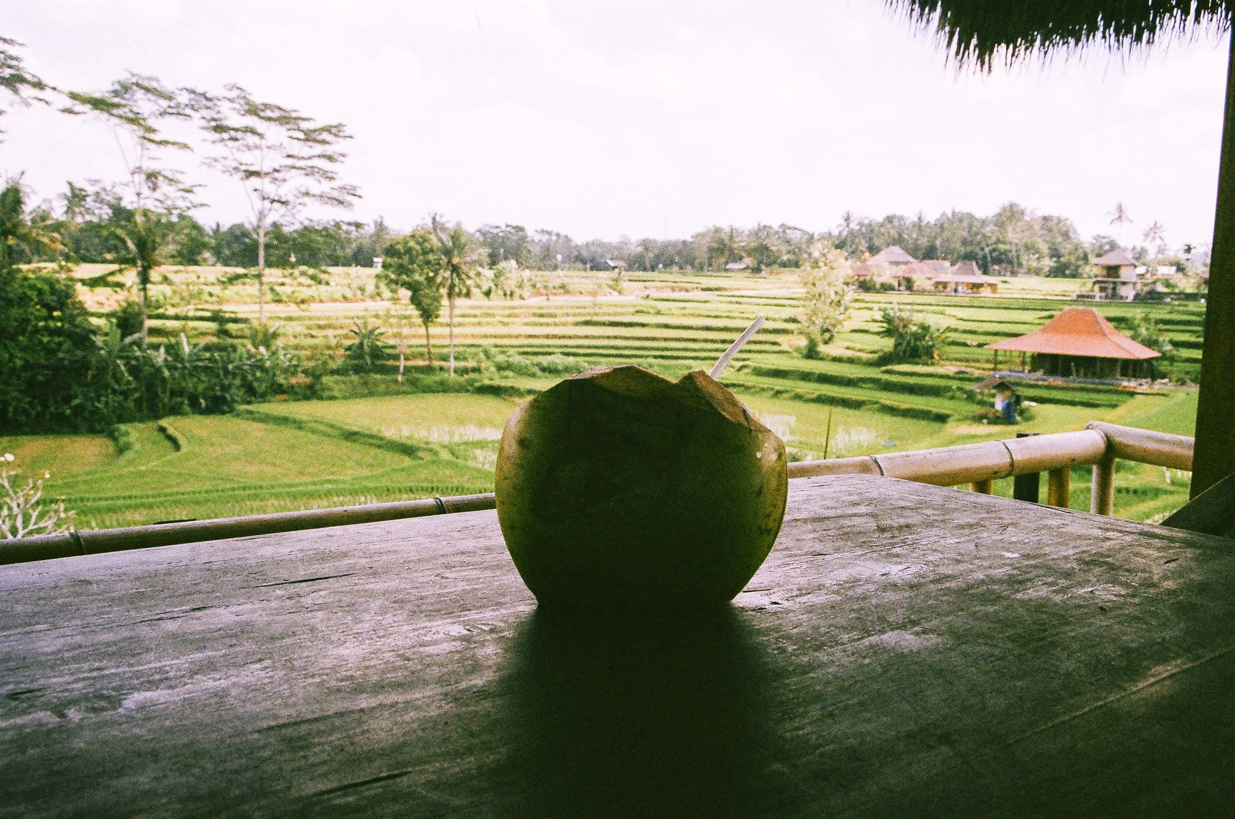 annadosenes-traveldiary-bali6.jpg