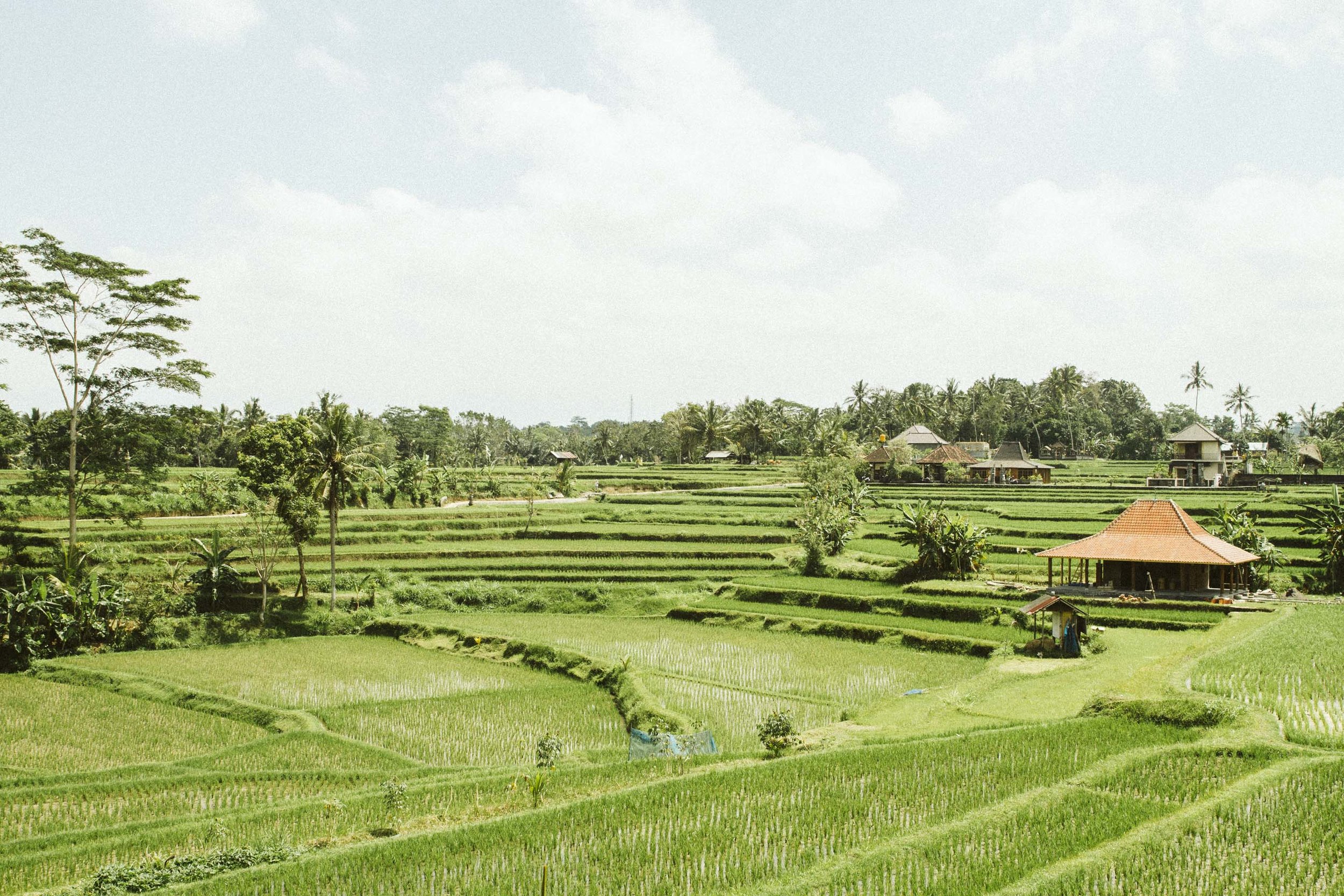 annadosenes-traveldiary-bali8.jpg