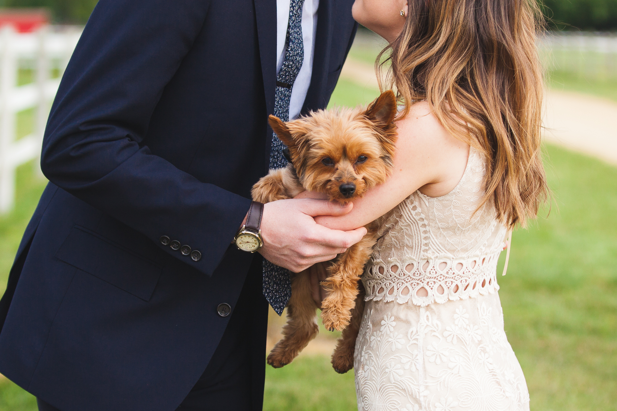  Family Farm Wedding in South Jersey Photography - Rustic Barn NJ - Millville, Vineland, Pittsgrove, Cape May, Ocean City - Creative Photographer, Candid, Joyful, Adventure. Elopement, Casual - Yorkie Puppy Ring Bearer Dog 