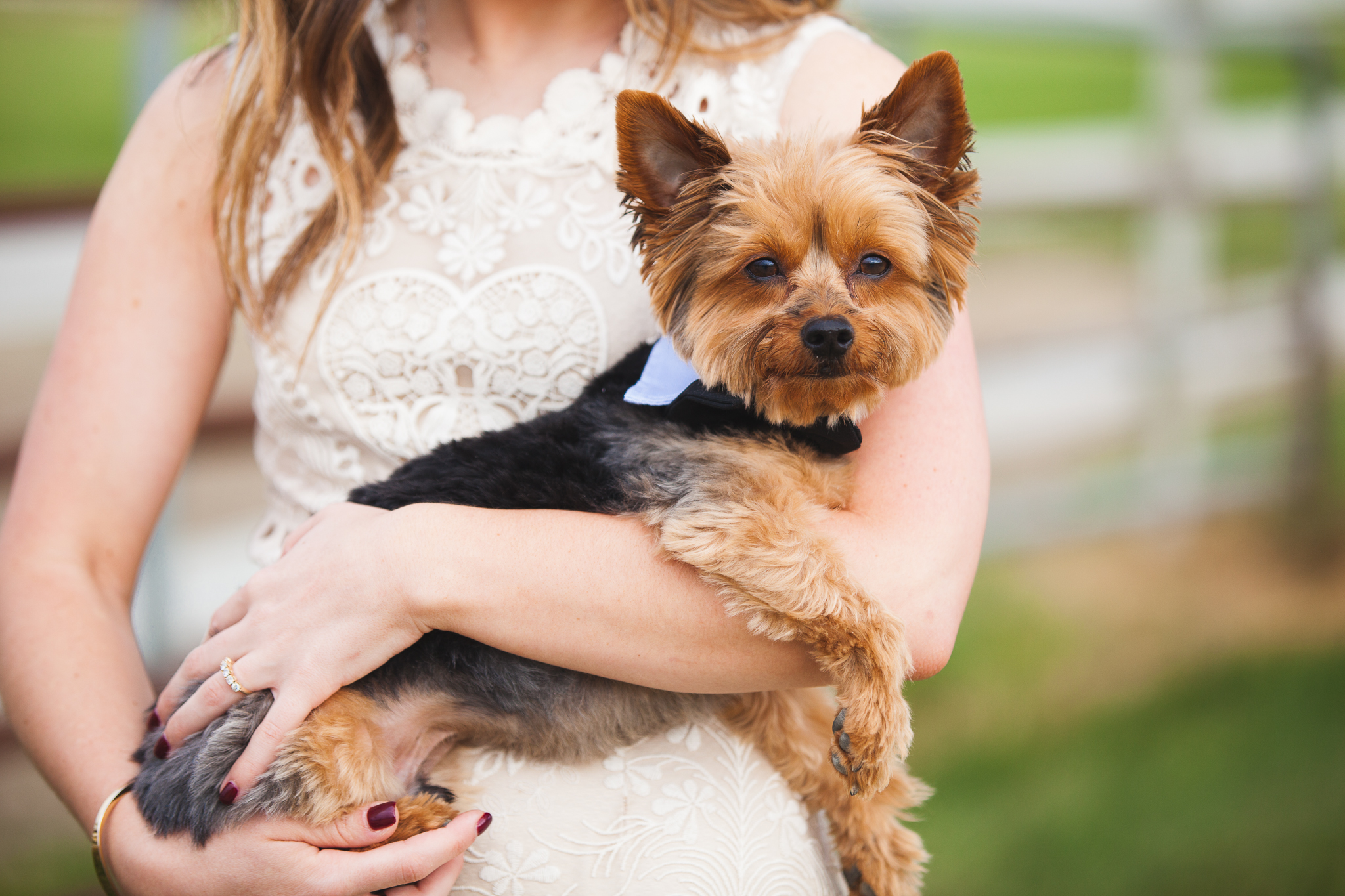  Family Farm Wedding in South Jersey Photography - Rustic Barn NJ - Millville, Vineland, Pittsgrove, Cape May, Ocean City - Creative Photographer, Candid, Joyful, Adventure. Elopement, Casual - Yorkie Puppy Pet Dog 