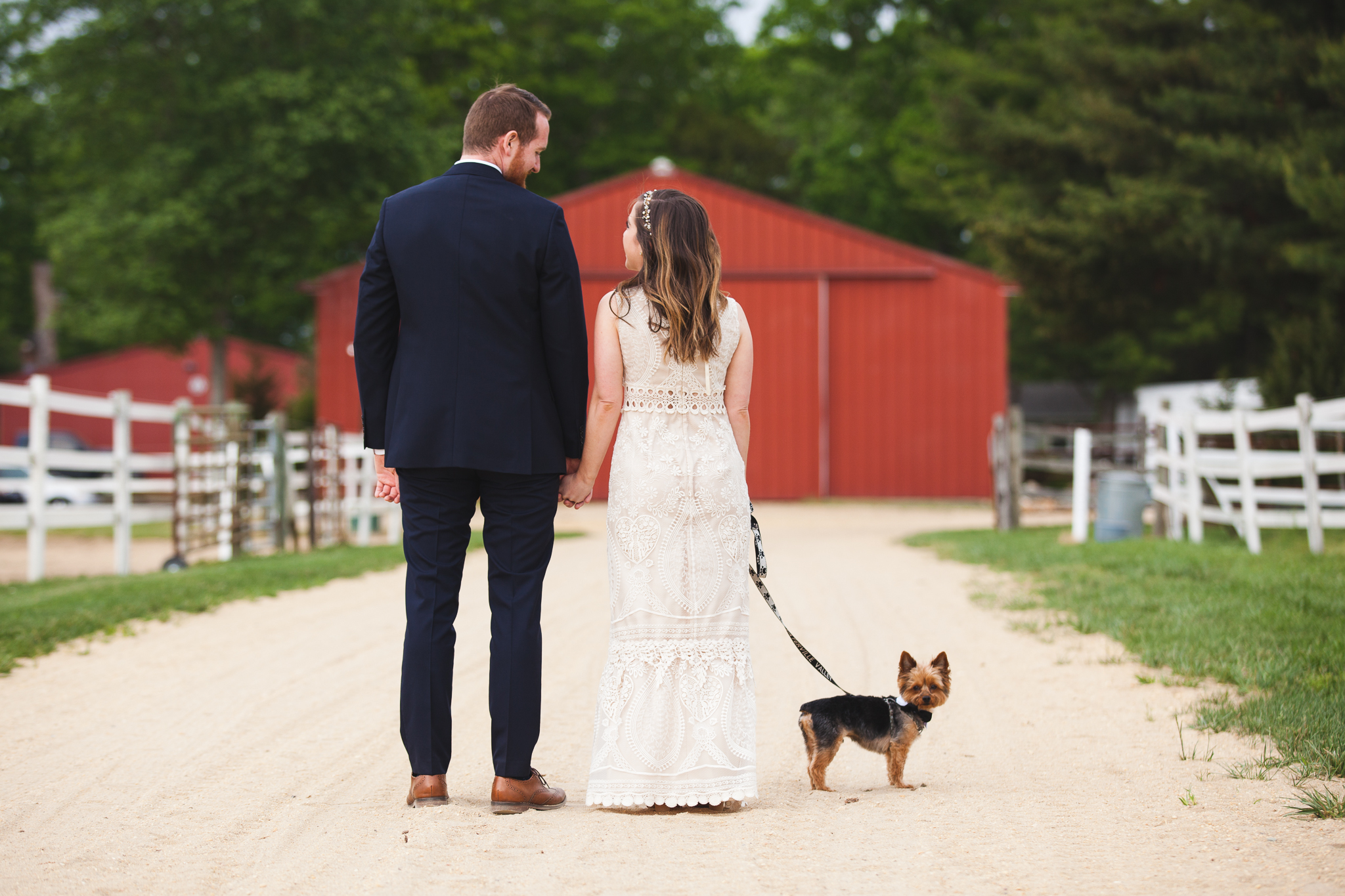  Family Farm Wedding in South Jersey Photography - Rustic Barn NJ - Millville, Vineland, Pittsgrove, Cape May, Ocean City - Creative Photographer, Candid, Joyful, Adventure. Elopement, Casual - Yorkie Puppy Pet Dog 