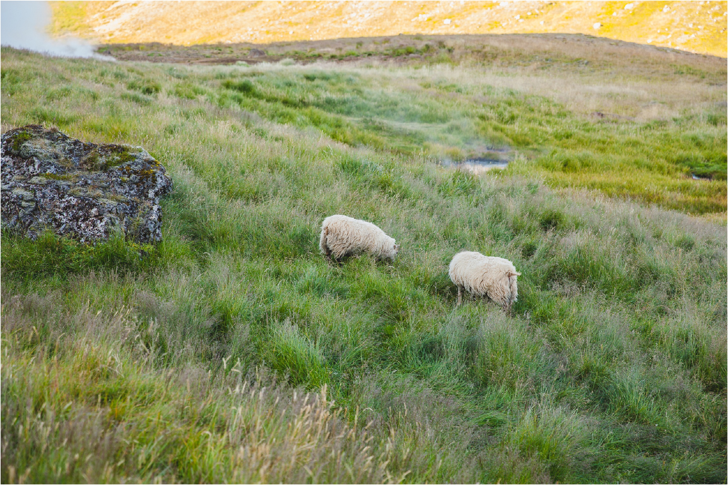  Iceland Vacation Summer, Elopement Photographer, Destination Wedding Photographer, Iceland Photographer, Iceland Elopement Photographer, Destination Wedding Photographer, Travel Wedding Photographer, Travelling Elopement Photographer, Danielle Saler