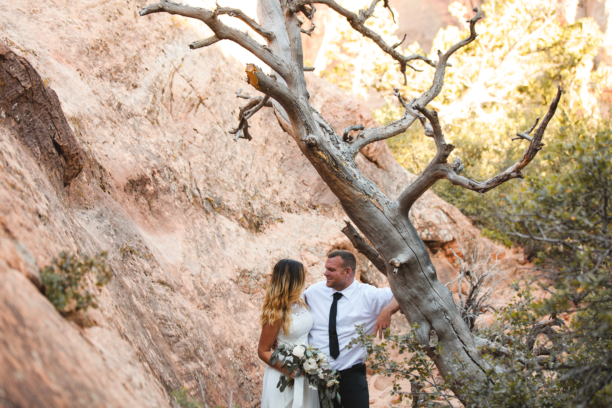 Zion National Park Elopement - Danielle Salerno Photography - Dana and Jason - Adventure Photography , Elopement Photographer