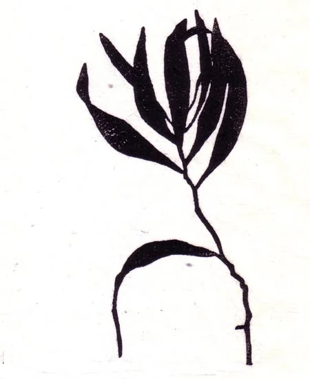 "January 13" linocut; 4 x 5" image size, 8 x 9" paper size; printed on HP55 handmade laid rice paper; edition of 8; 2012; unframed