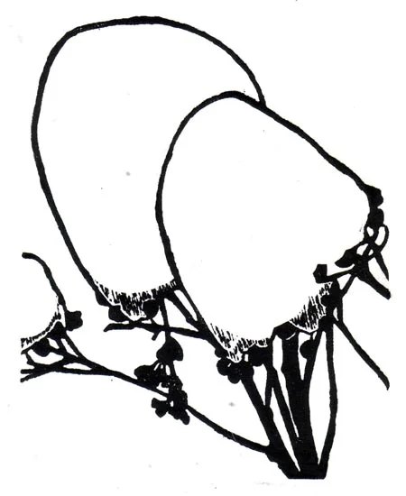 "January 27" linocut; 4 x 5" image size, 8 x 9" paper size; printed on HP55 handmade laid rice paper; edition of 8; 2012; unframed