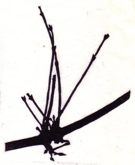 "March 3" linocut; 4 x 5" image size, 8 x 9" paper size; printed on HP55 handmade laid rice paper; edition of 8; 2012; unframed