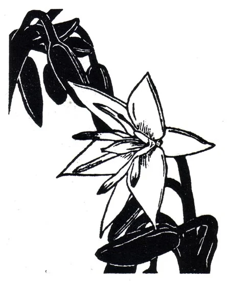 "April 14" linocut; 4 x 5" image size, 8 x 9" paper size; printed on HP55 handmade laid rice paper; edition of 8 signed; 2012; unframed