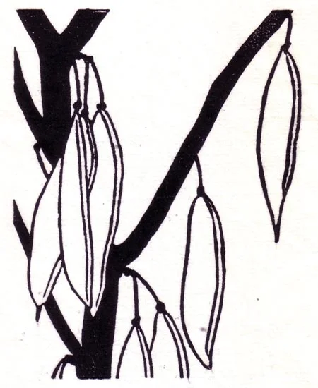"June 16" linocut; 4 x 5" image size, 8 x 9" paper size; printed on HP55 handmade laid rice paper; edition of 8; 2012; unframed