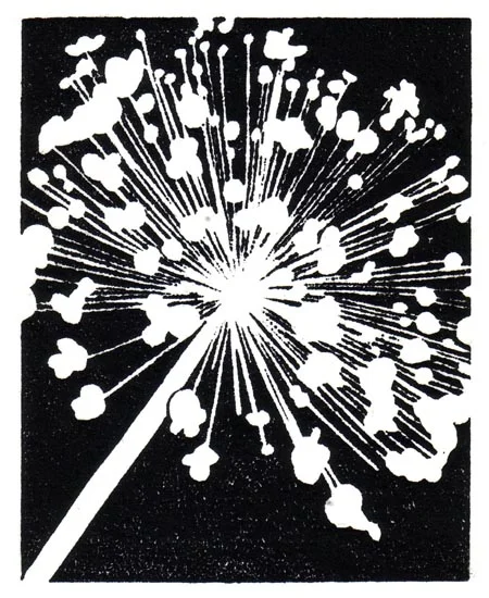 "July 20" linocut; 4 x 5" image size, 8 x 9" paper size; printed on HP55 handmade laid rice paper; edition of 8; 2012; unframed