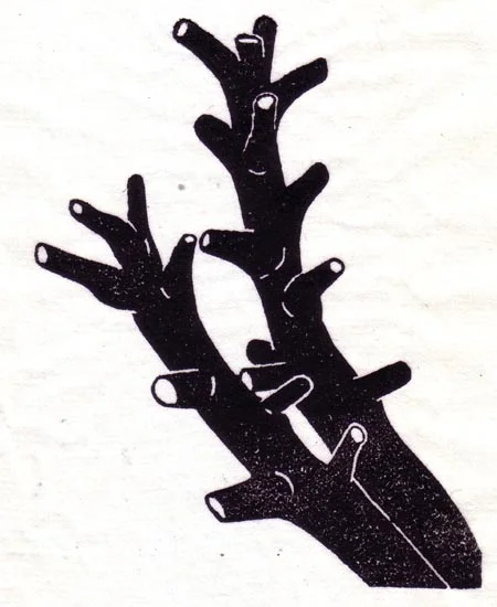 "September 29" linocut; 4 x 5" image size, 8 x 9" paper size; printed on HP55 handmade laid rice paper; edition of 8; 2012; unframed