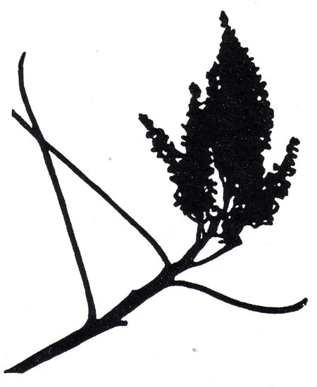 "November 17" linocut; 4 x 5" image size, 8 x 9" paper size; printed on HP55 handmade laid rice paper; edition of 8; 2012; unframed