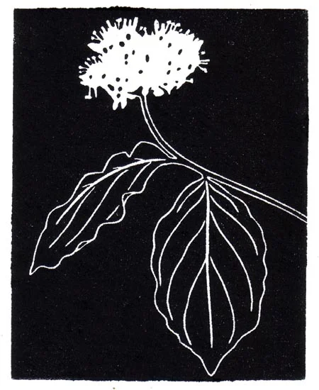 "November 10" linocut; 4 x 5" image size, 8 x 9" paper size; printed on HP55 handmade laid rice paper; edition of 8; 2012; unframed