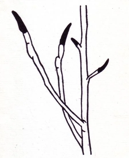 "December 15" linocut; 4 x 5" image size, 8 x 9" paper size; printed on HP55 handmade laid rice paper; edition of 8; 2012; unframed