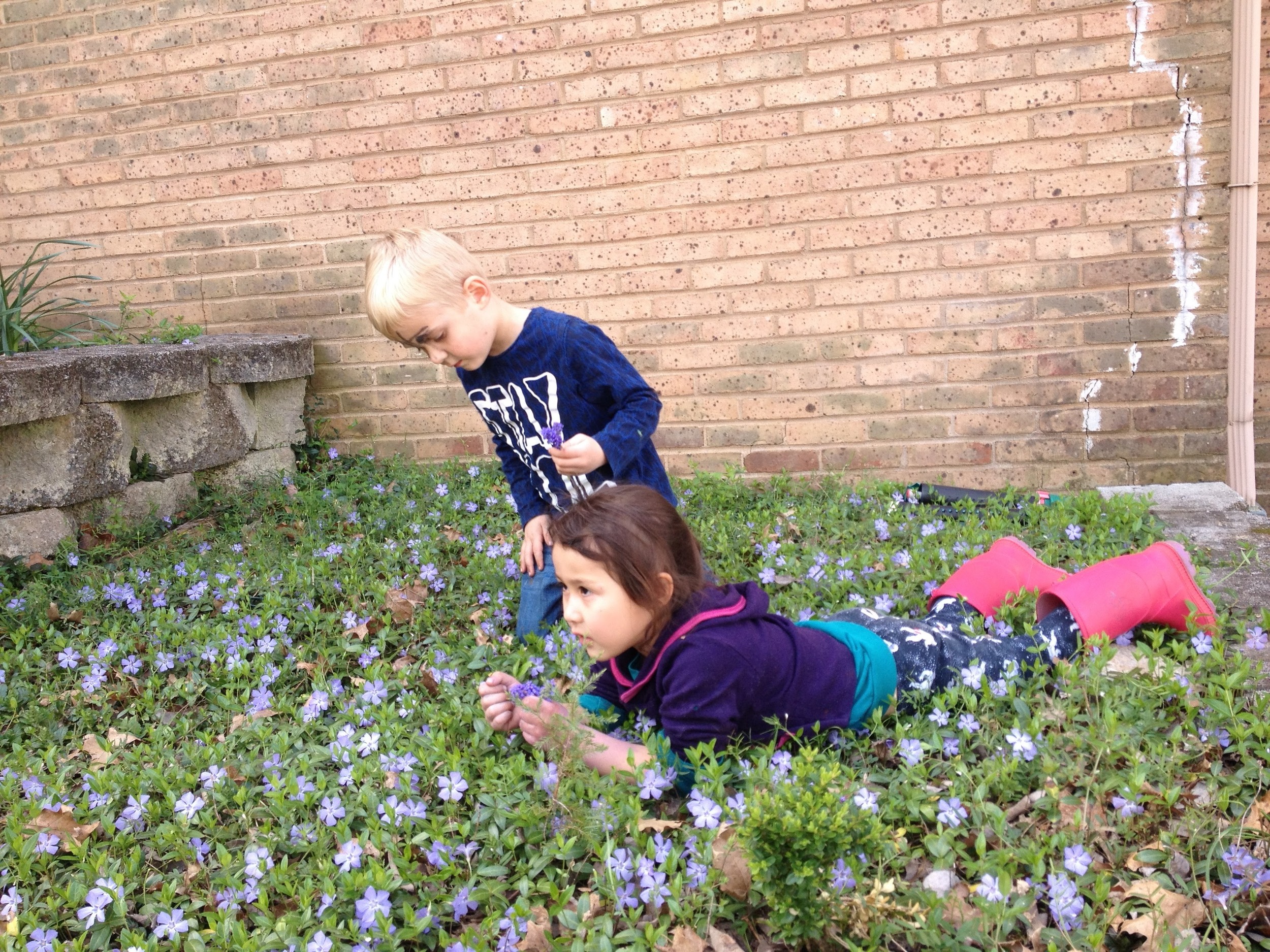 Large expanses of uncontrolled natural growth have been a never-ending source of joy for many of our students. Sometimes, they are humbled by the scope of the growth, but more often than not, they move towards trying to integrate themselves with it. Whether using an overgrown bush to gain a leg up on the competition during hide-and-seek or picking flowers to give to parents, nature is a living, breathing, educational tool.
