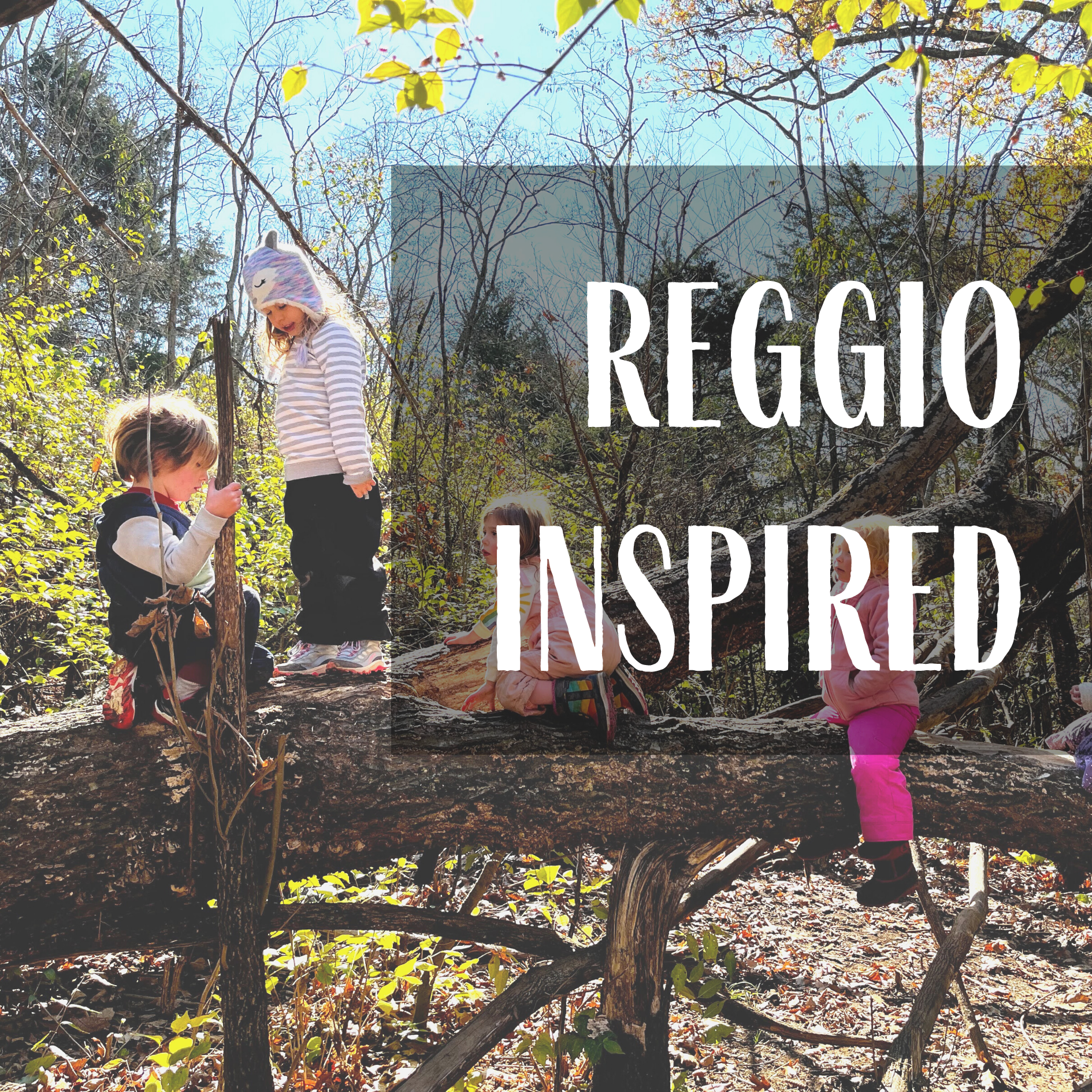 Reggio Inspired