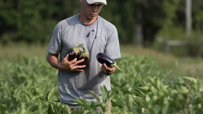 Meet Clancy Bolton, a Fourth-Generation Local Farmer