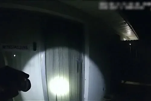 The Perfect Neighbor