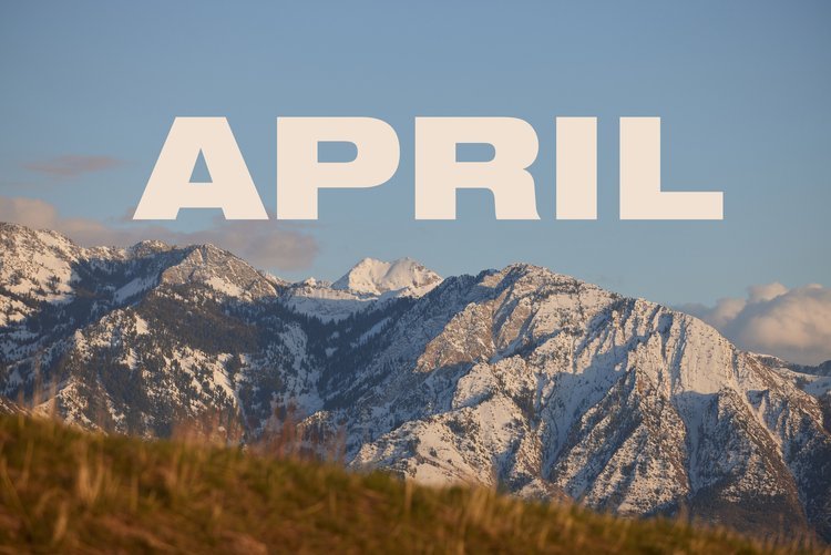 Vargo Photography Monthly Newsletter
