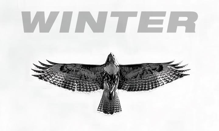 Winter Newsletter