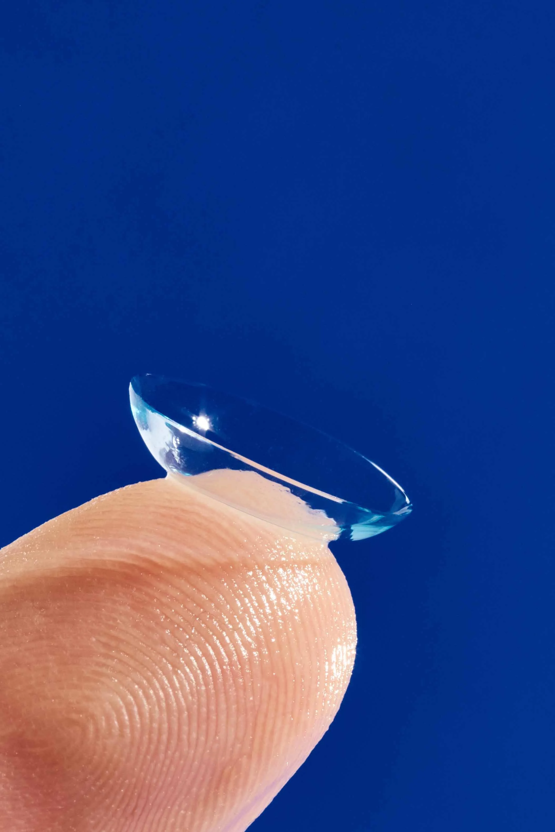 2026 Webb & 1800 Contacts6545_WEB.jpg