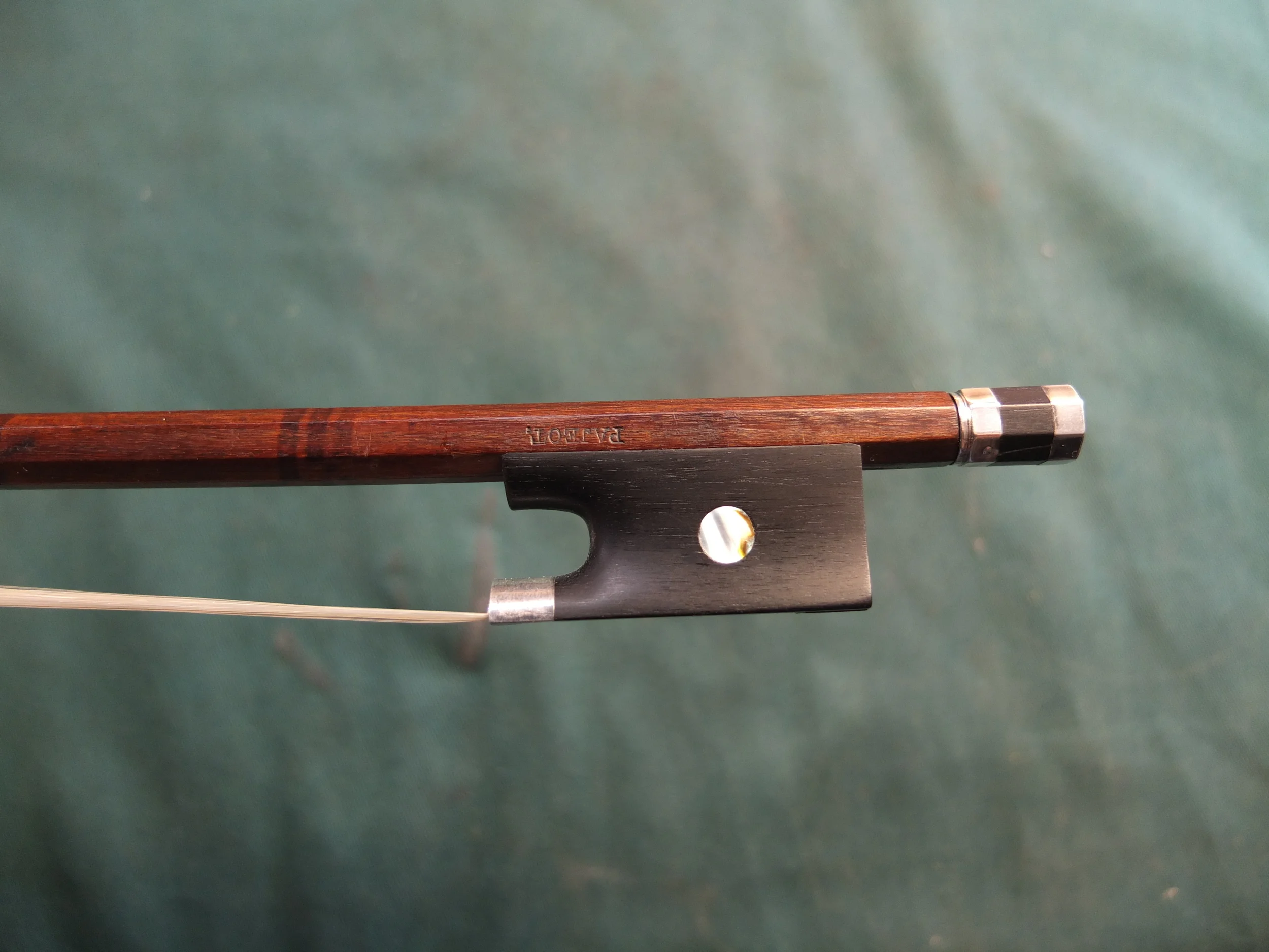 Etienne Pajeot - copy frog and button