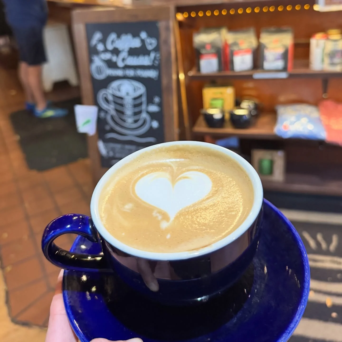 Cozy and Canvas Fine Art Reception by Paula M. DeSano
