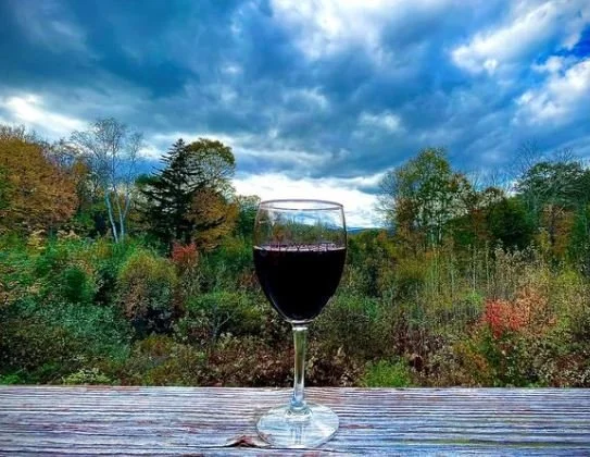 Tour our Winery and See How our Wine is Made!