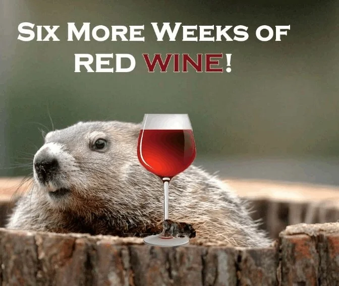 Tour our Winery and See How our Wine is Made!