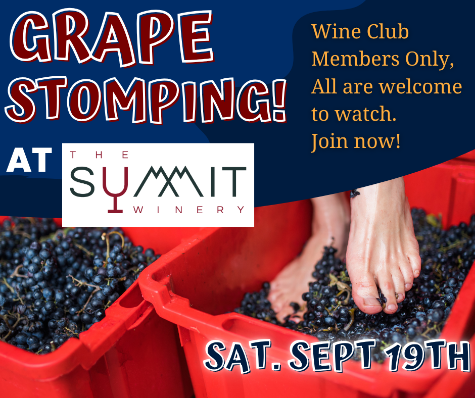 Grape Stomp Event | Wine Club Members Only | All are welcome to come watch | Sign up for the Wine Club to participate today!