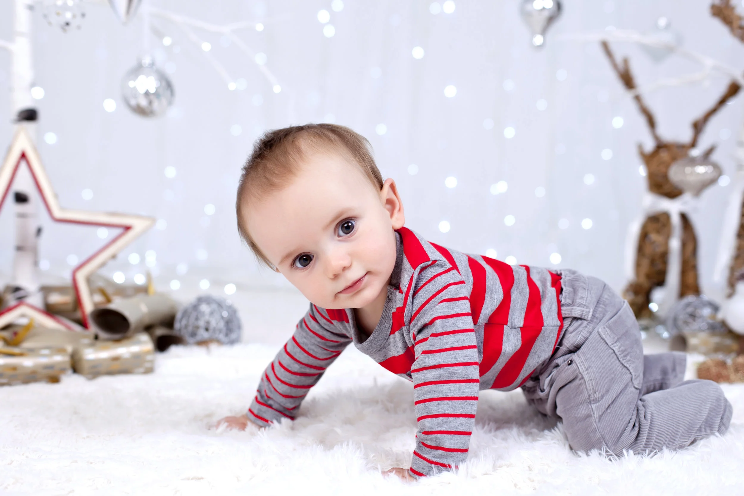 Christmas Mini Session