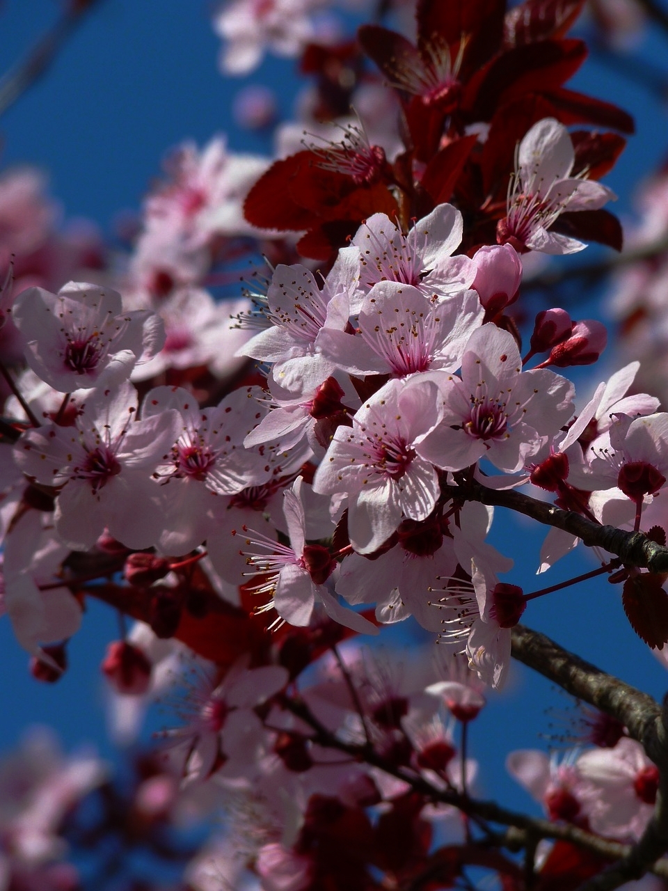   Tree Work   Whether simple pruning or more extensive tree surgery. Give us a call.&nbsp; 