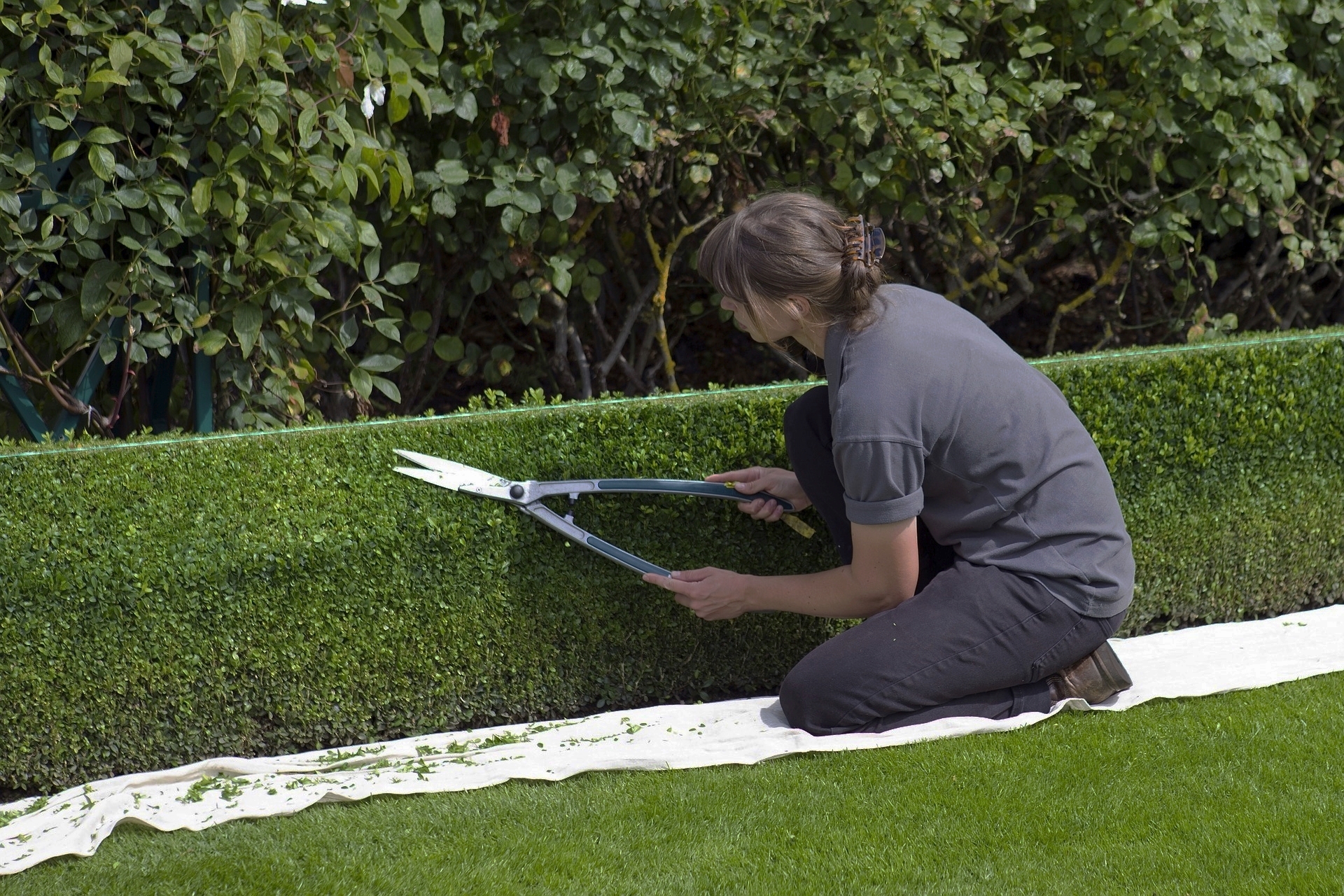   Close to the Hedge   Good hedges make good neighbours. We're experts in keeping your hedge healthy and neat. 