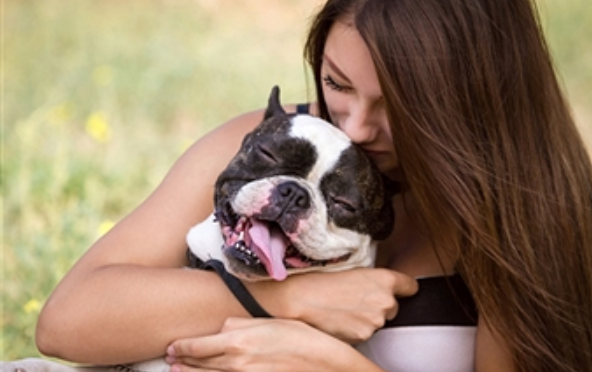 Small animal rescue or small nonprofit start-up package