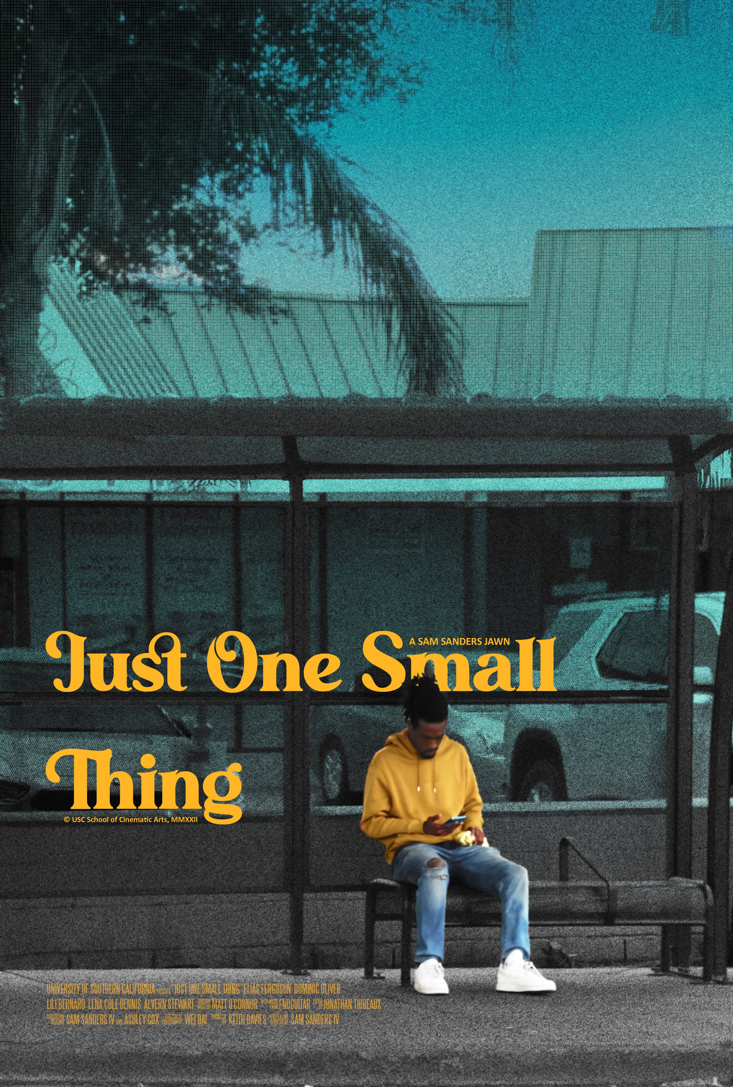 Just One Small Thing Poster.jpg