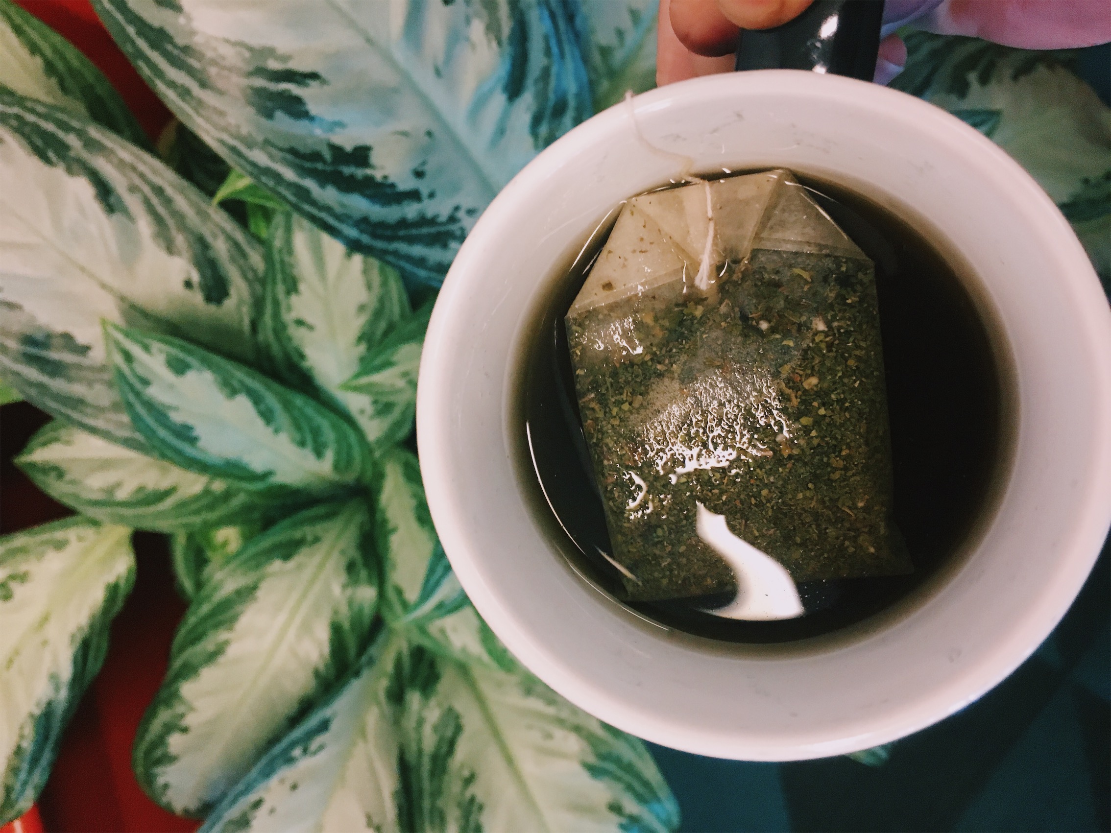 10:30 am. Peppermint tea. Fighting the urge for coffee #3!