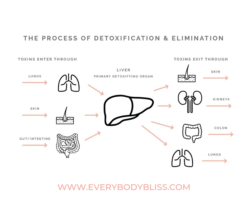 WWW.EVERYBODYBLISS.COM.jpg