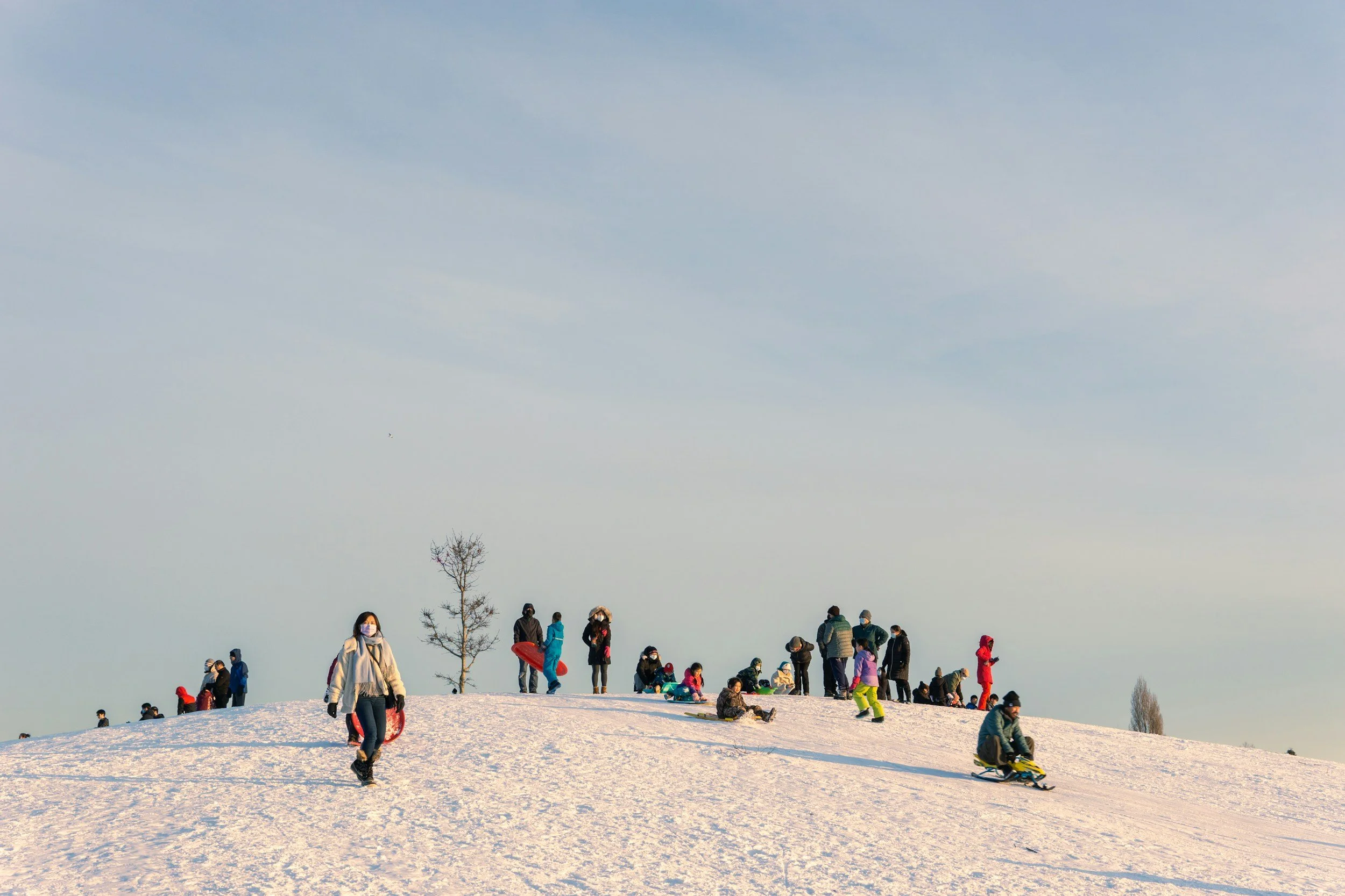 Where to Go Sledding in the Hamptons