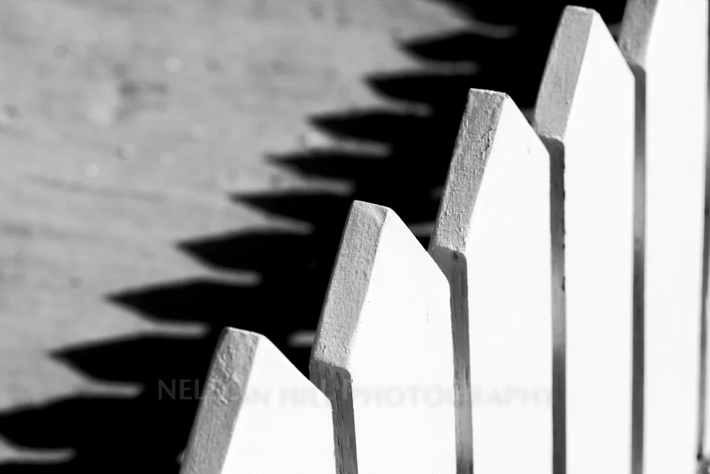 fence.jpg
