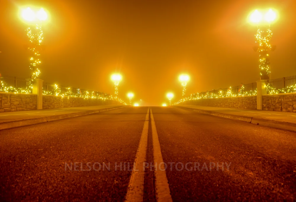 balboa bridge at Christmas.jpg