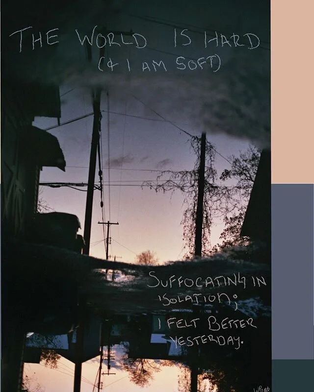 @waltpfau for the Quarant-zine :: a piece that feels more relatable every day. See it at www.tess.cool/quarantzine #brinethezine #quarantzine #photography #soft #zine