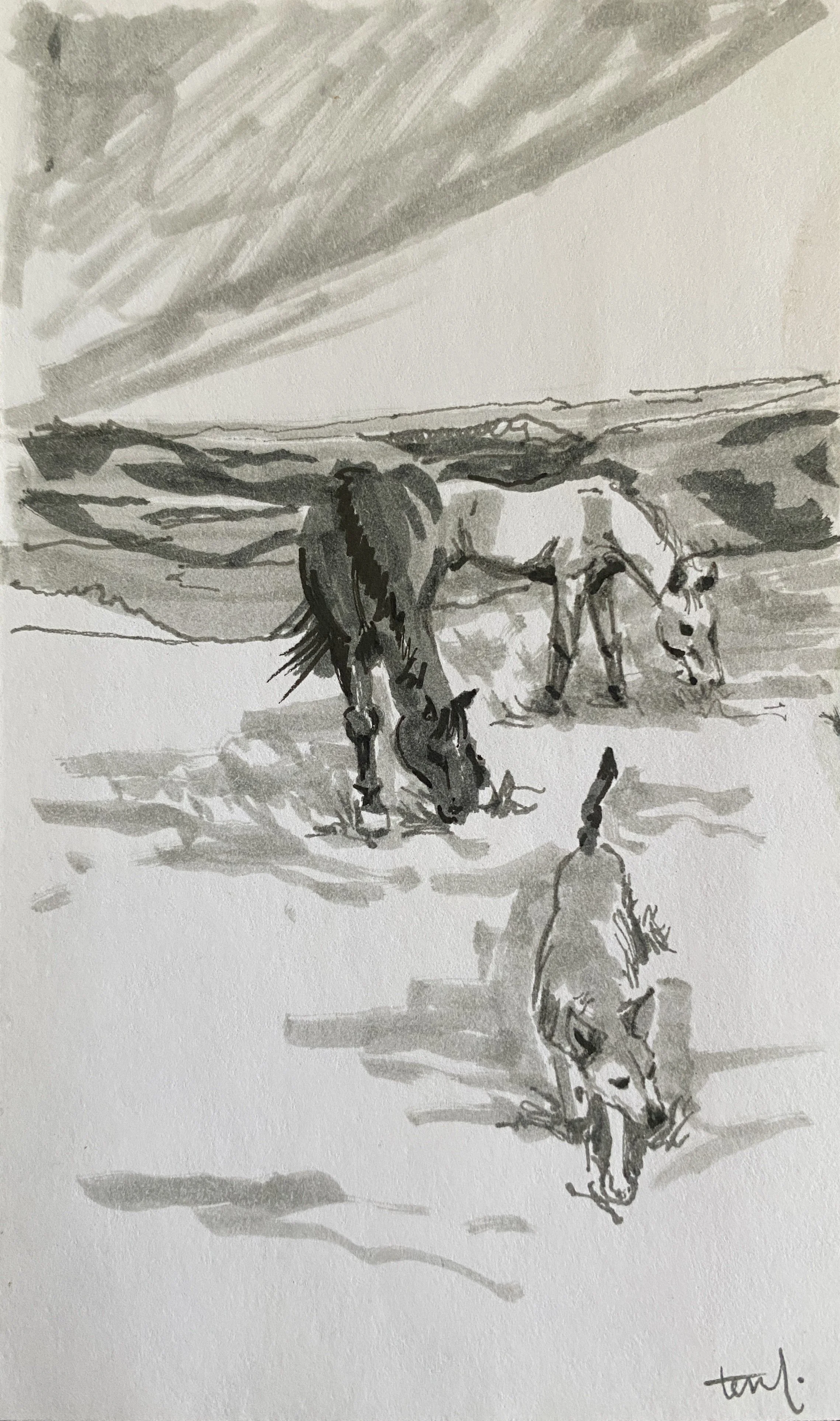 Two Horses and Frankie - Marker on Notecard