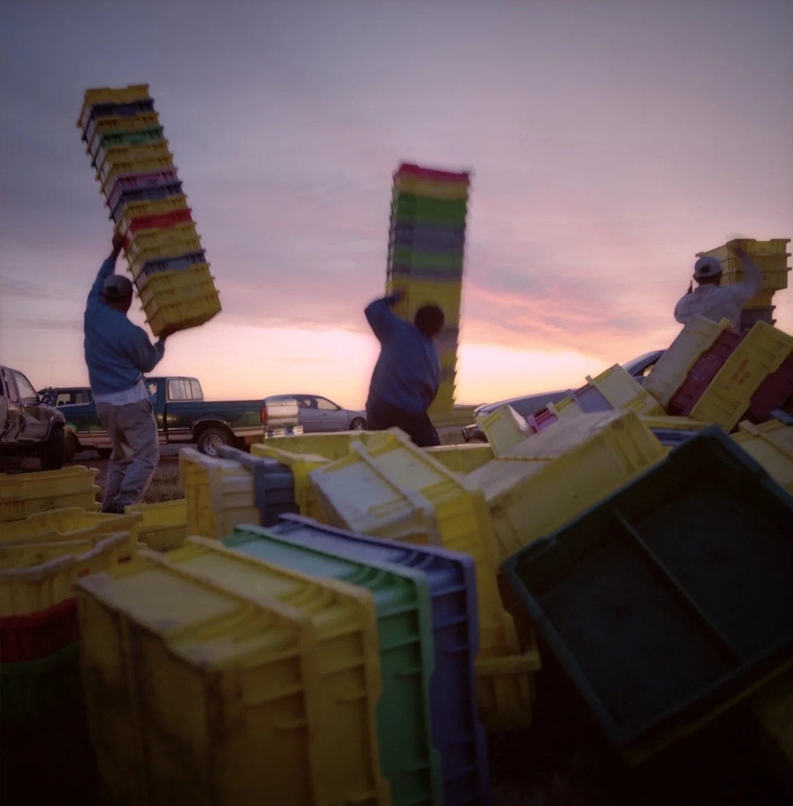 Eastern Stream - 3 crop.jpeg