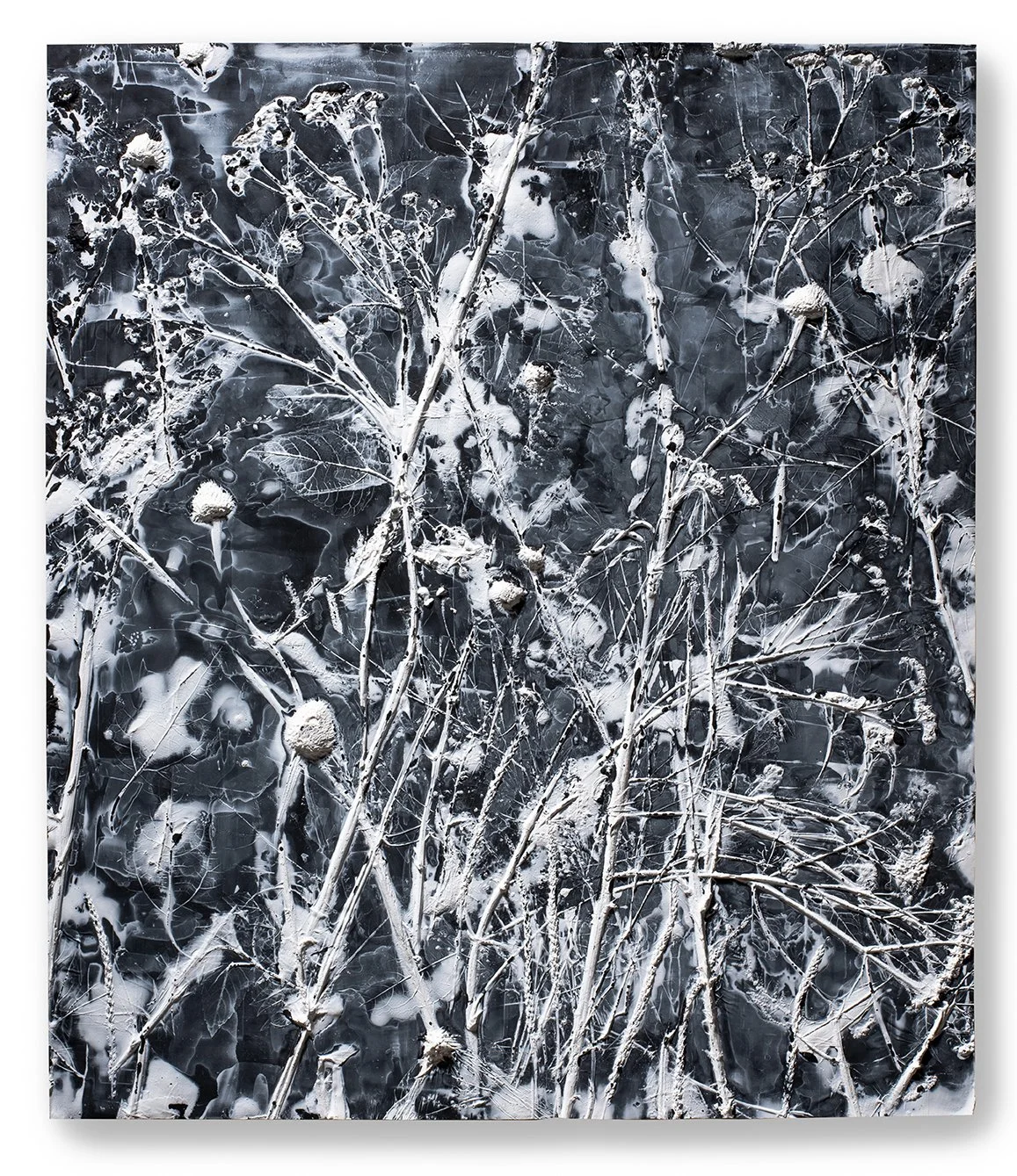 Garden (snow) _low res.jpg