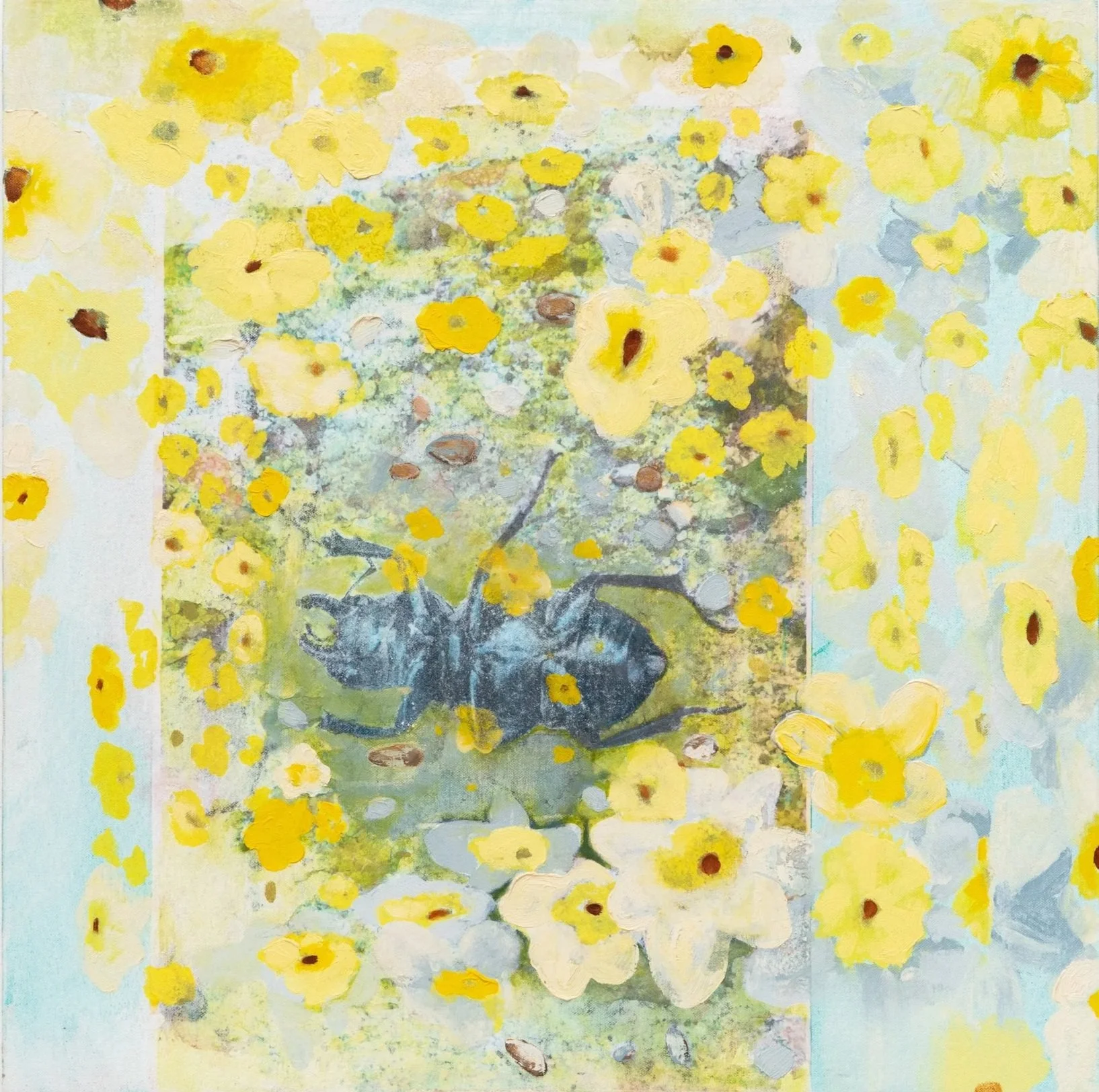 Beetle, oil on canvas, 20 x 20 in, 2019